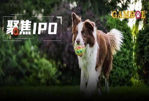 乖寶寵物境外重大訴訟懸而未決，利潤空間受境內外雙重擠壓，寵物食品銷售困局待解