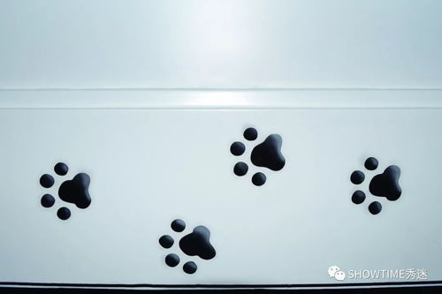 從寵物店購買寵物狗 明智選擇還是潛在陷阱？