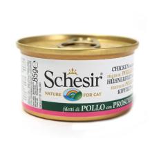 寵物食品銷售 趨勢、機遇與品牌制勝之道